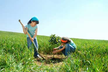 Children Planting Trees