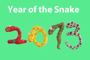 2013 is the Year of the Snake