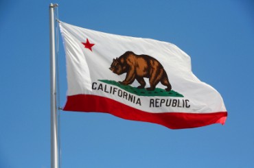 california-flag-bear.jpg
