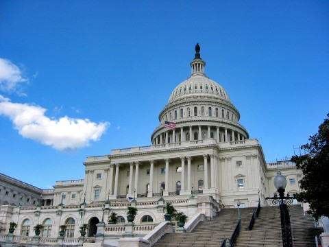 Capitol Building Steps
