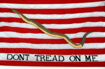 Navy Flag from War of Independence in 1775