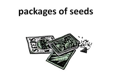 Packets of Seeds