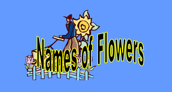 Names of Flowers