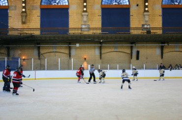People Playing Hockey