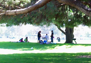 Family Picnic in the Park