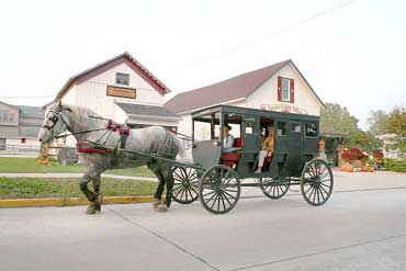 Amish Horse and Buggy